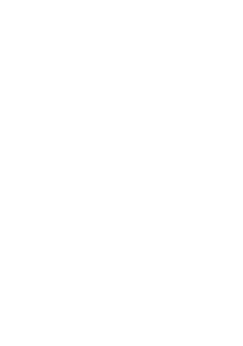 Di Pinto SAS Logo
